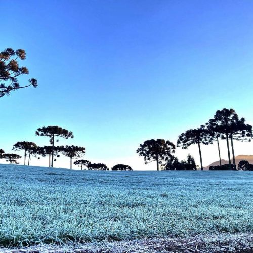 Onda de frio derruba temperaturas e Paraná pode registrar 2°C