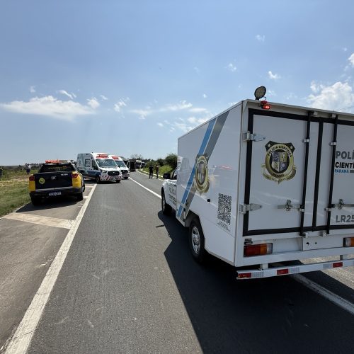 FOTOS: IML e Polícia Científica atuam em acidente fatal na PR-151, em Carambeí