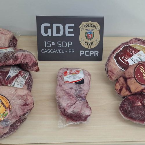 PCPR prende 7 pessoas em operação contra furtos de comércios no PR