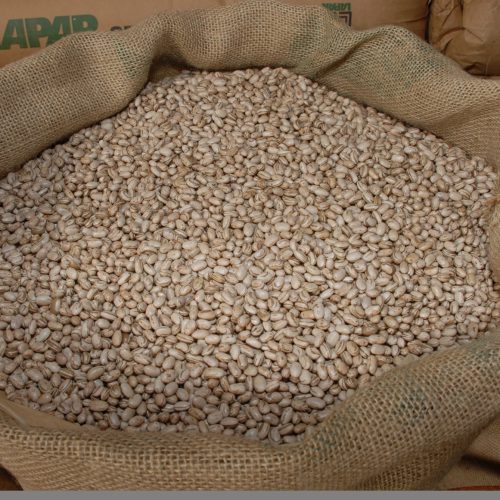 Maior produtor do Brasil, Paraná já colheu 72% da “safra das águas” do feijão