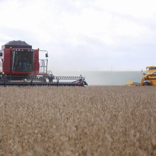 Safra 2026/2027: produção de soja tem previsão de aumento em 4% no Paraná