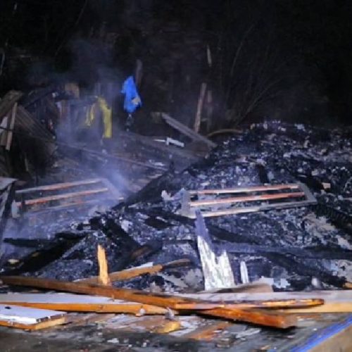 Cachorro morre carbonizado após incêndio em casa na região