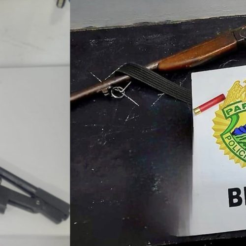 Caça ilegal: homem é preso com arma e animal abatido no PR&nbsp;