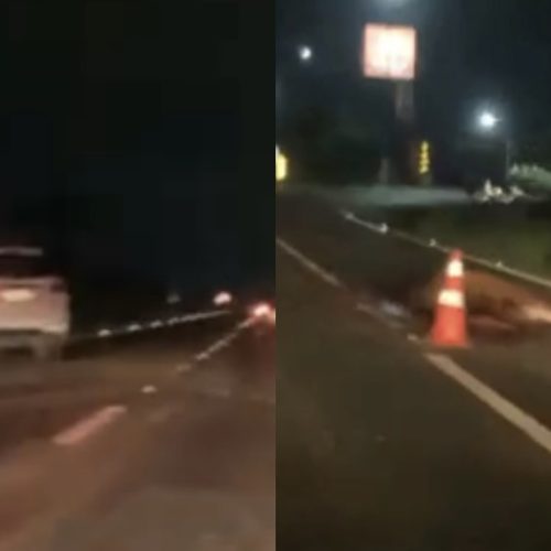 Cavalo é atropelado na PR-151 em Carambeí e acidente reforça alerta sobre segurança