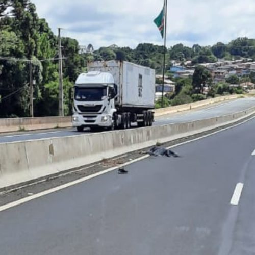 Homem morre atropelado na PR-151