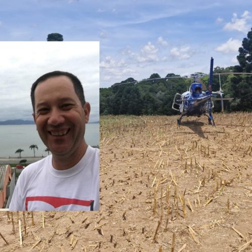 Homem morto após ser atacado por abelhas em Carambeí é identificado