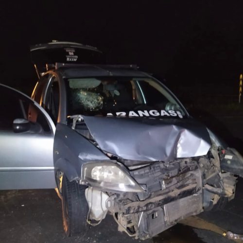 Colisão na PR-151 em Carambeí termina com motoristas detidos por embriaguez ao volante