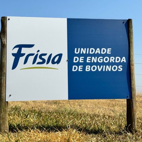 Primeiros bois da Unidade de Engorda de Bovinos Frísia são comercializados