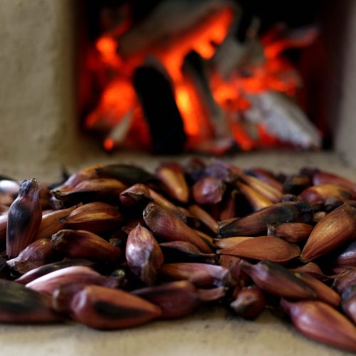 Pinhão na Chapa
Foto Gilson Abreu/AEN